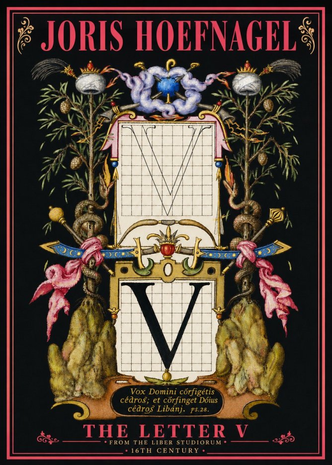 Joris Hoefnagel The Letter V No6 - Póster