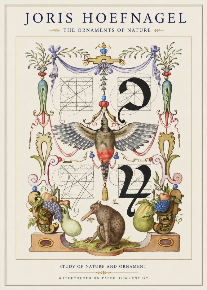 Joris Hoefnagel Study of Nature and Ornament No1 - Póster