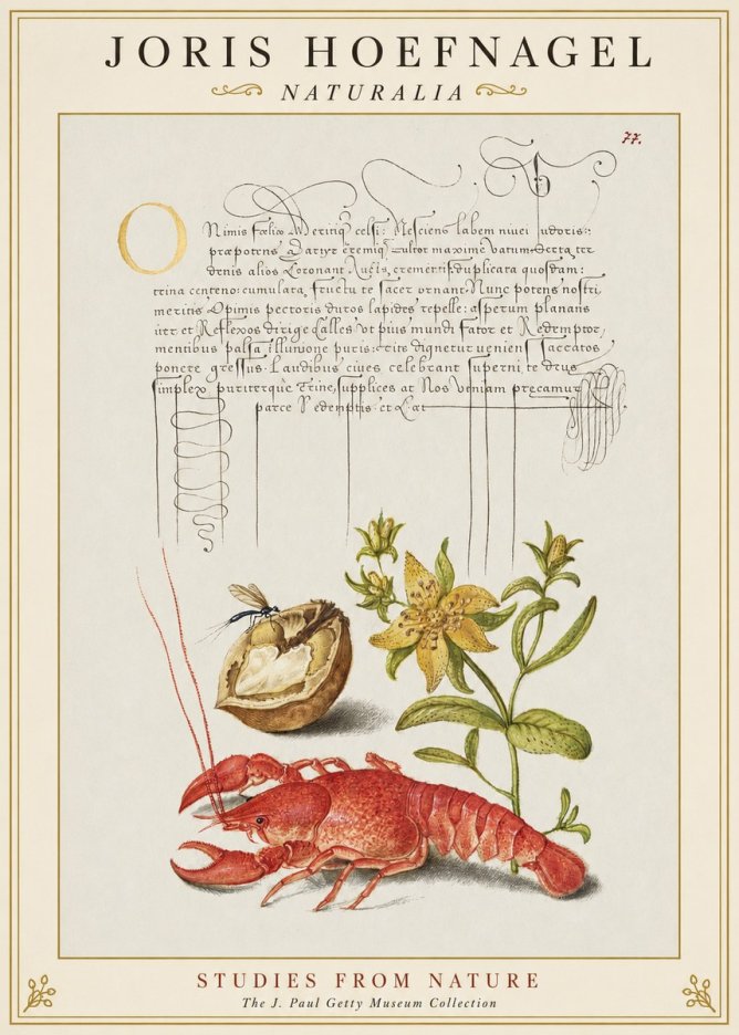 Joris Hoefnagel Studies from Nature No1 - Póster