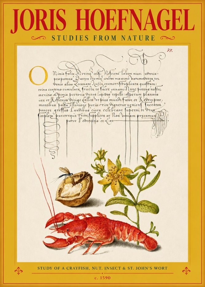 Joris Hoefnagel Studies from Nature No3 - Póster