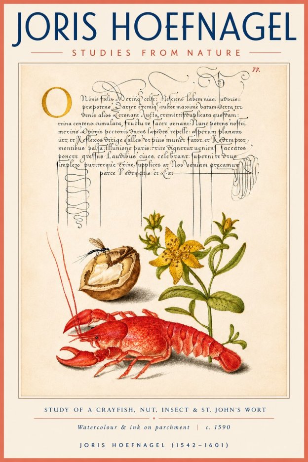 Joris Hoefnagel Studies from Nature No4 - Póster
