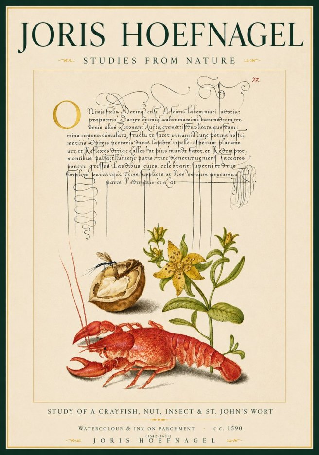 Joris Hoefnagel Studies from Nature No6 - Póster