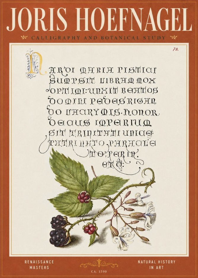 Joris Hoefnagel Calligraphy and Botanical Study II No4 - Póster