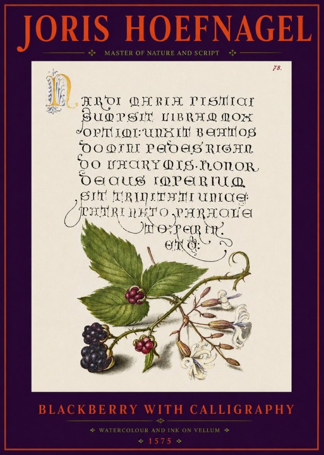 Joris Hoefnagel Calligraphy and Botanical Study II No6 - Póster
