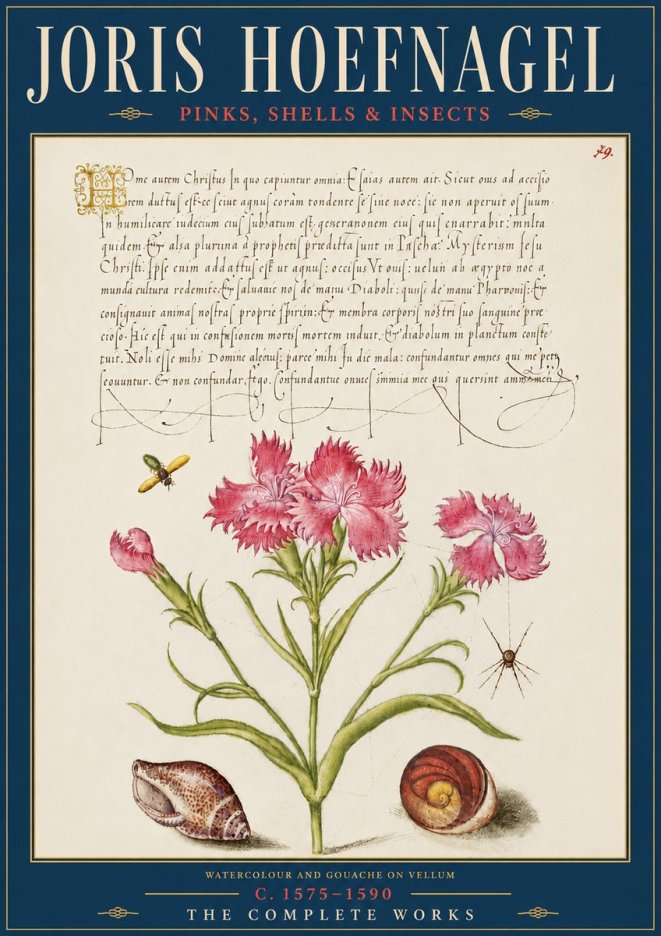 Joris Hoefnagel Pinks, Shells & Insects No5 - Póster