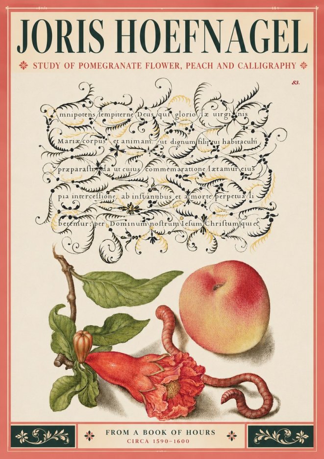 Joris Hoefnagel Study of Pomegranate Flower, Peach and Calligraphy from a Book of Hours No3 - Póster