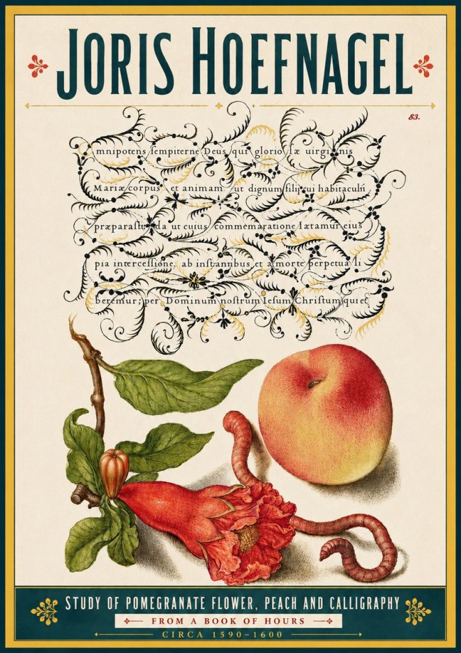 Joris Hoefnagel Study of Pomegranate Flower, Peach and Calligraphy from a Book of Hours No5 - Póster
