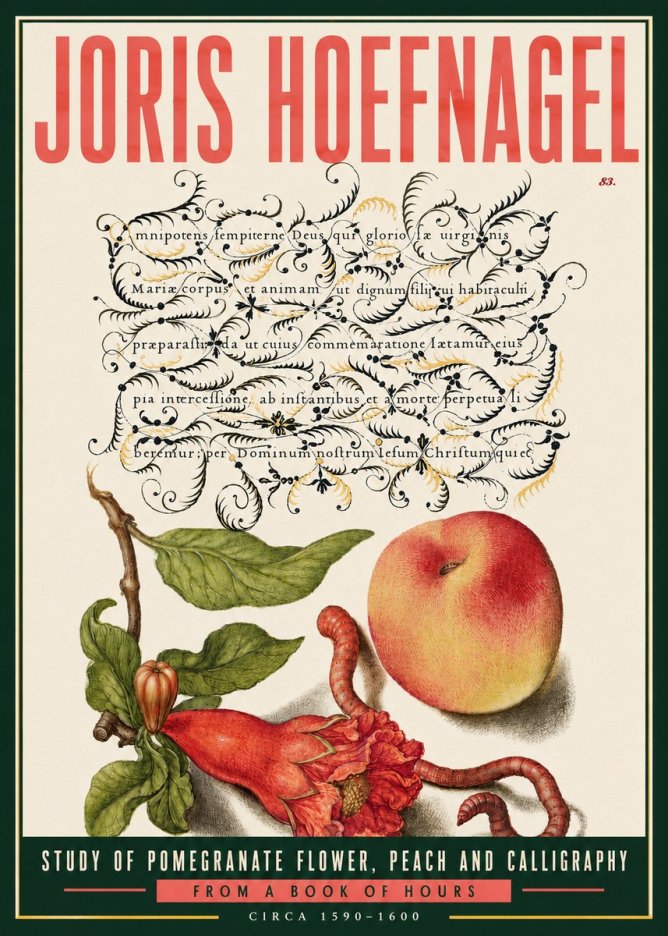 Joris Hoefnagel Study of Pomegranate Flower, Peach and Calligraphy from a Book of Hours No6 - Póster