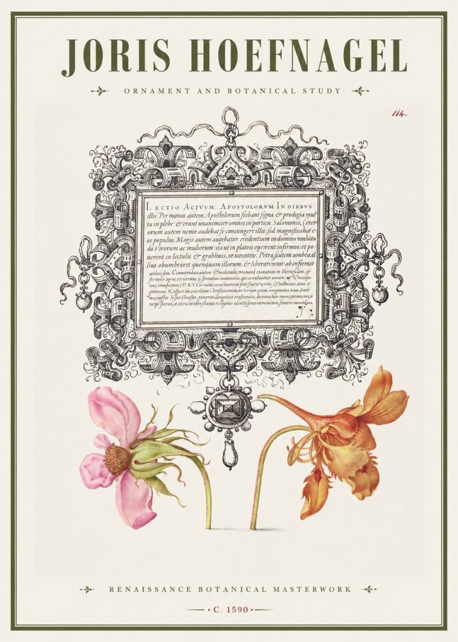 Joris Hoefnagel Ornament and Botanical Study No1 - Póster