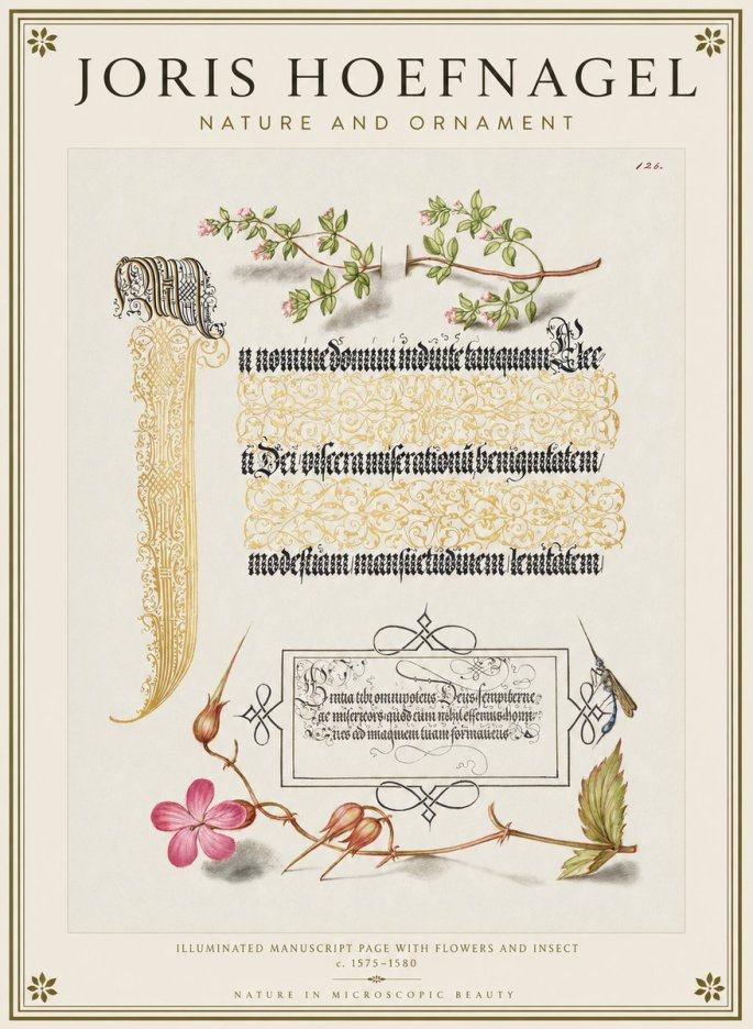 Joris Hoefnagel Illuminated Manuscript Page with Flowers and Insect No1 - Póster