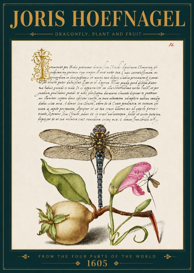 Joris Hoefnagel Dragonfly, Plant and Fruit No5 - Póster