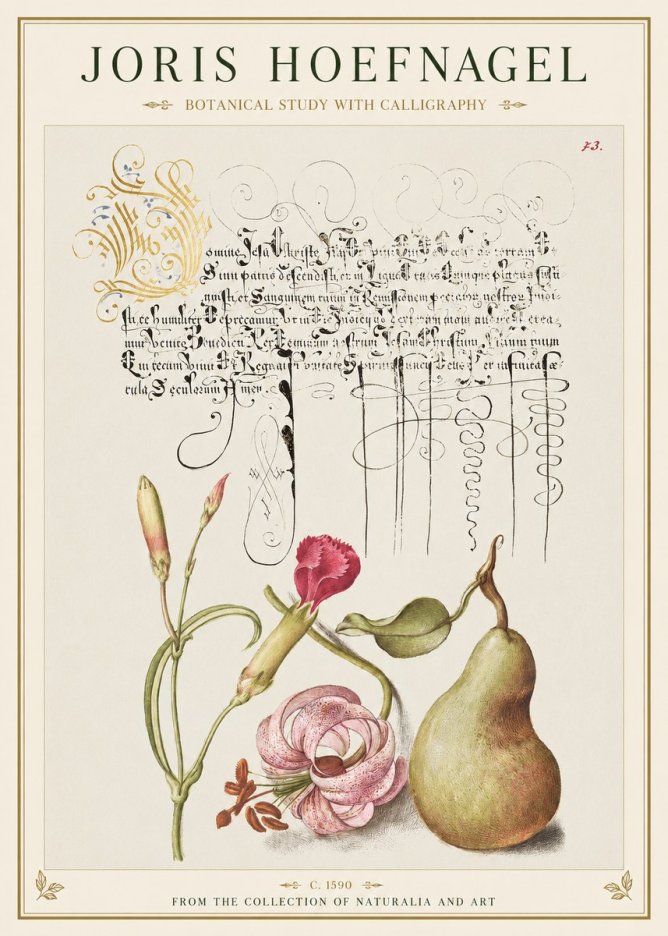 Joris Hoefnagel Botanical Study with Calligraphy II No1 - Póster