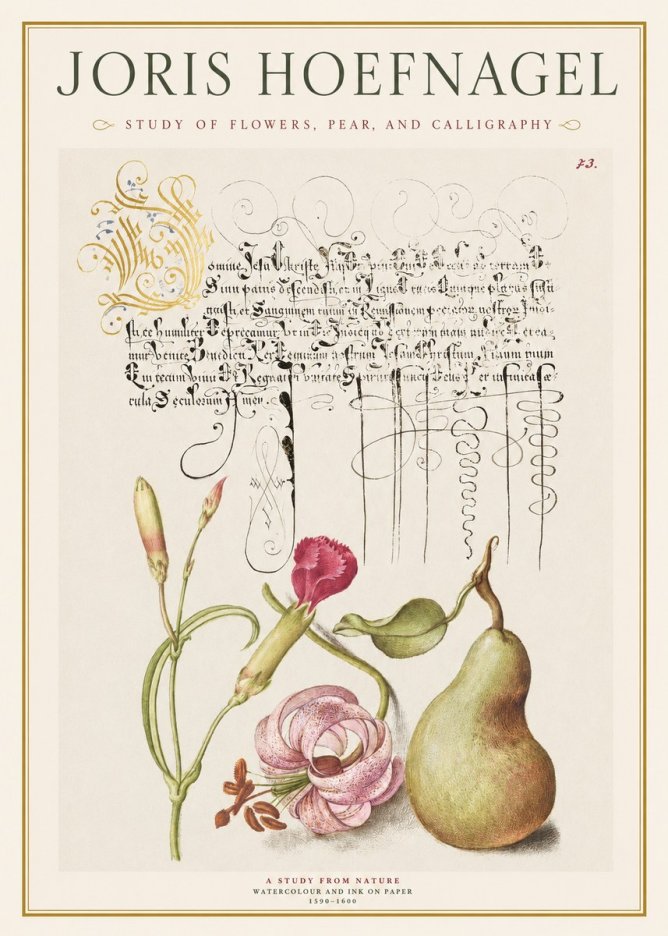 Joris Hoefnagel Botanical Study with Calligraphy II No2 - Póster