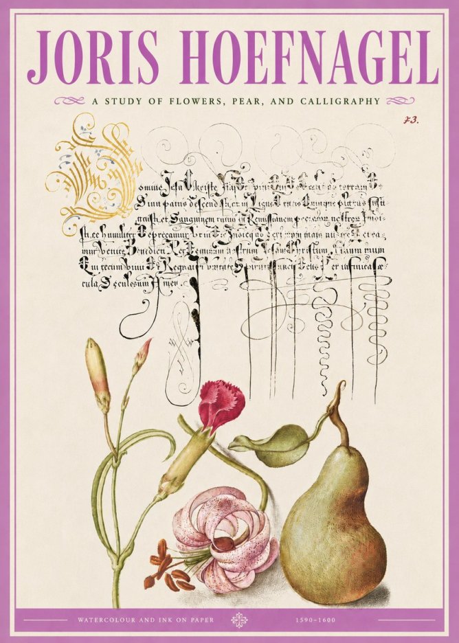 Joris Hoefnagel Botanical Study with Calligraphy II No5 - Póster