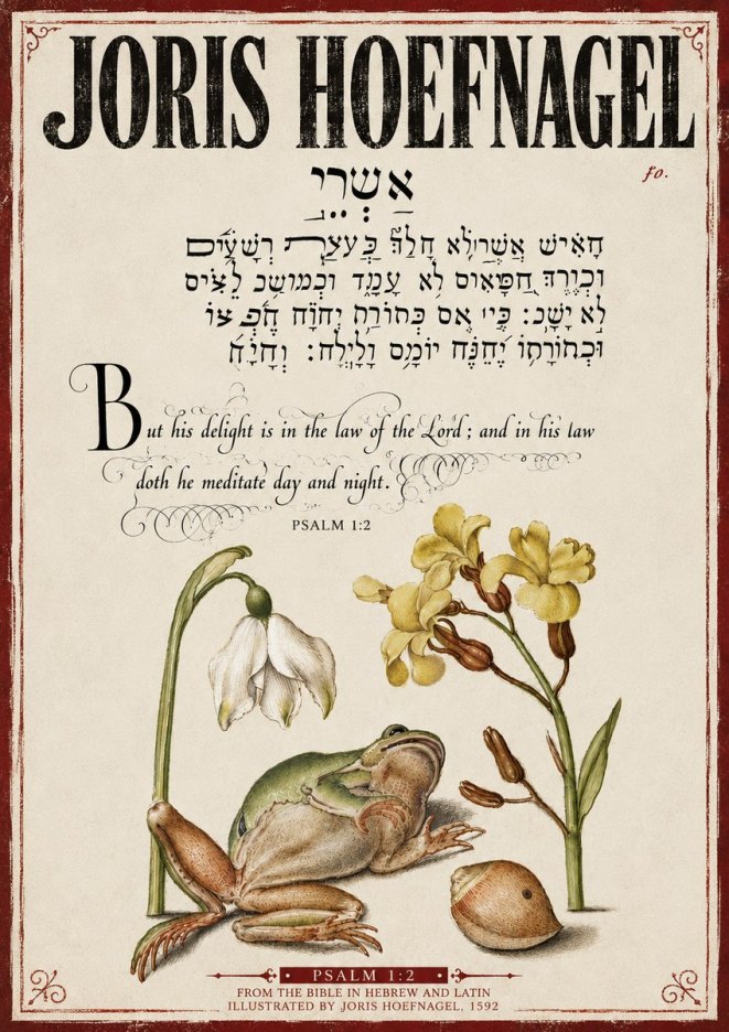 Joris Hoefnagel Psalm 1:2 No4 - Póster