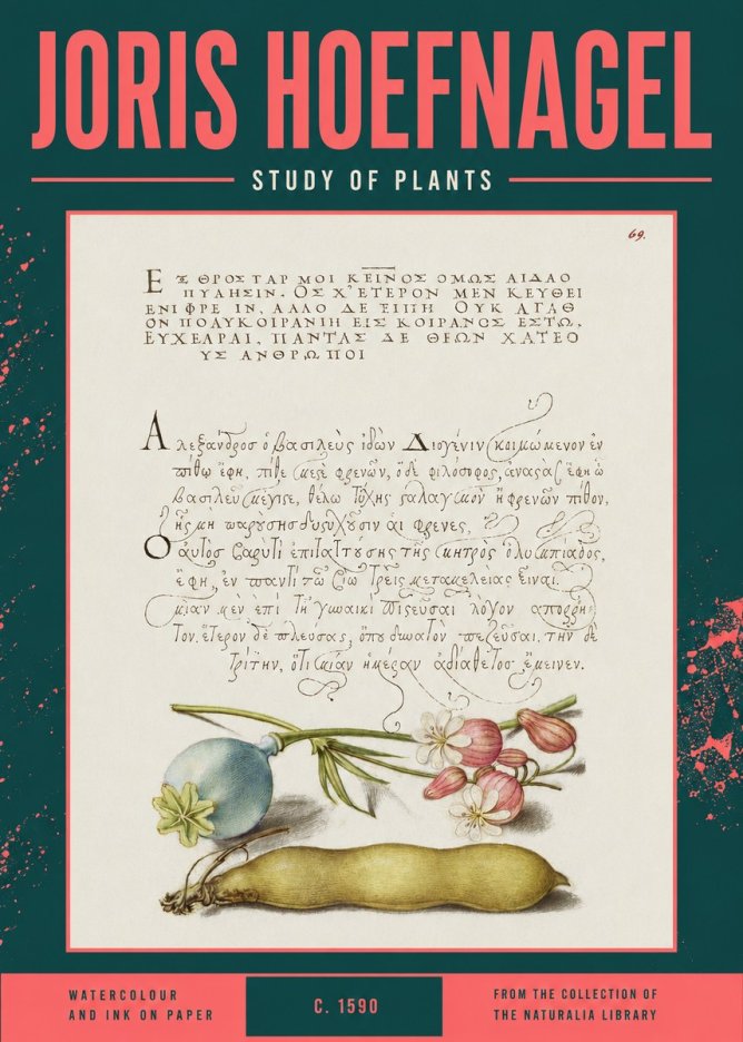 Joris Hoefnagel Study of Plants I No2 - Póster