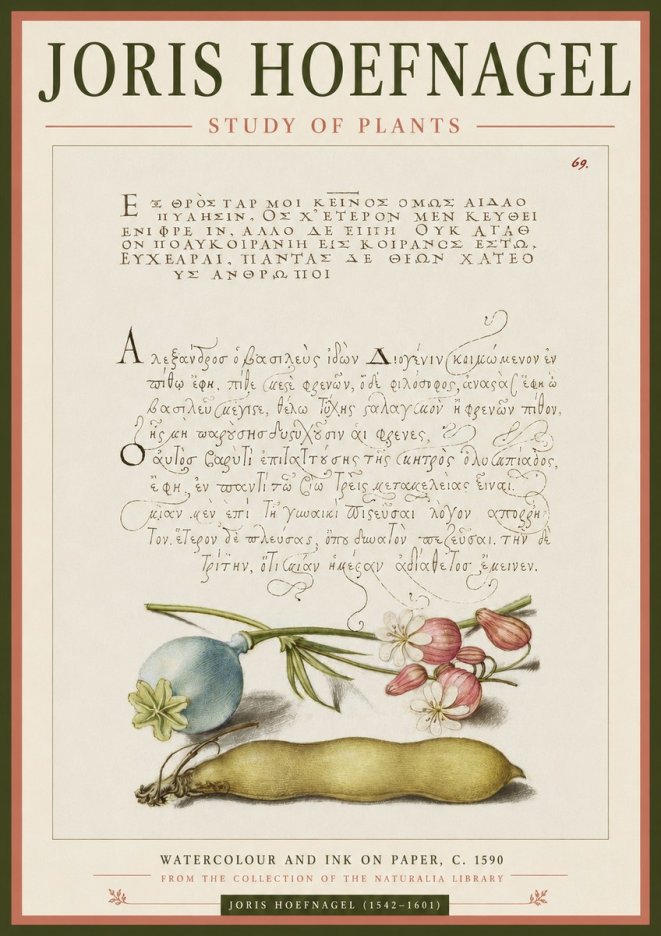 Joris Hoefnagel Study of Plants I No3 - Póster