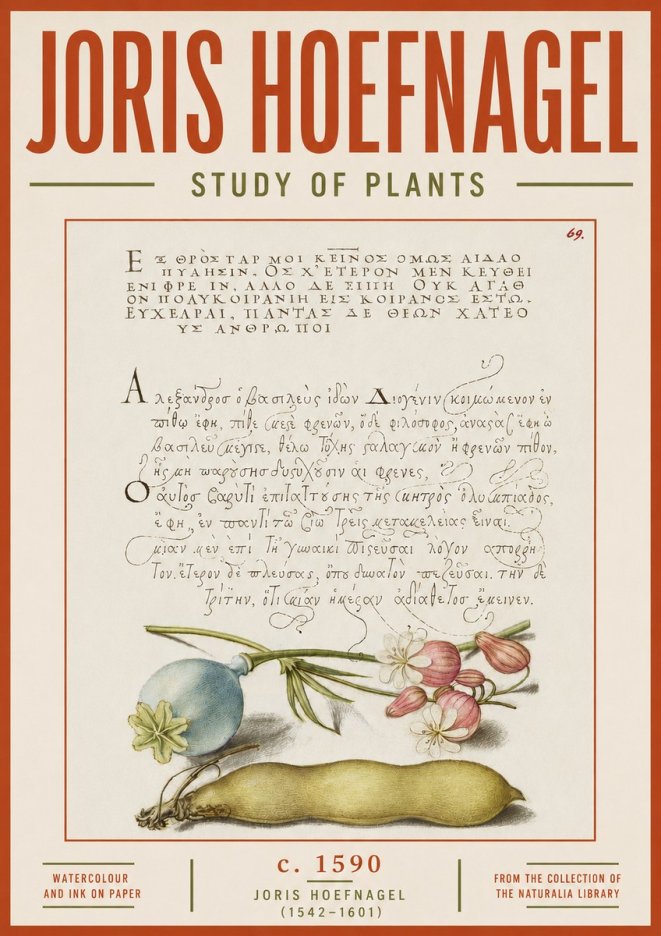 Joris Hoefnagel Study of Plants I No5 - Póster