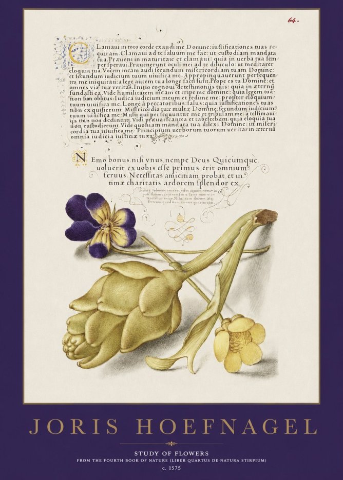Joris Hoefnagel Botanical Study with Calligraphy III No3 - Póster