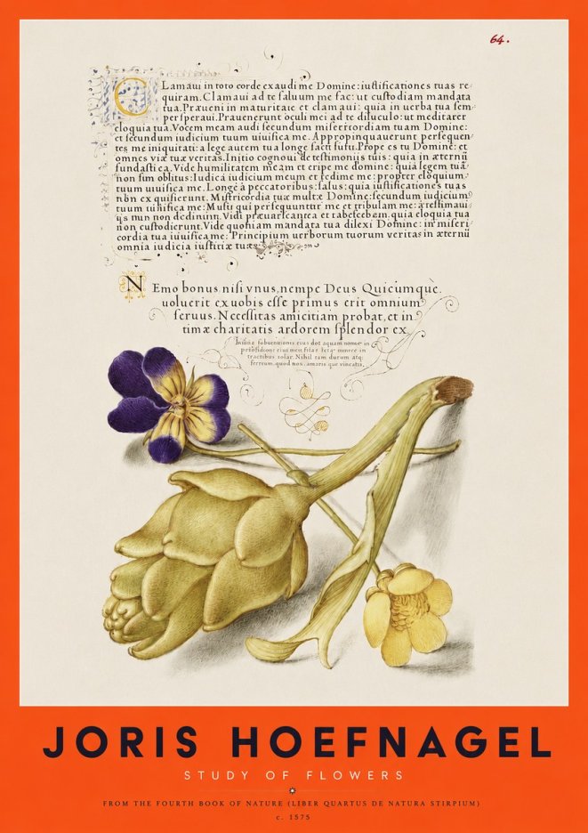 Joris Hoefnagel Botanical Study with Calligraphy III No4 - Póster