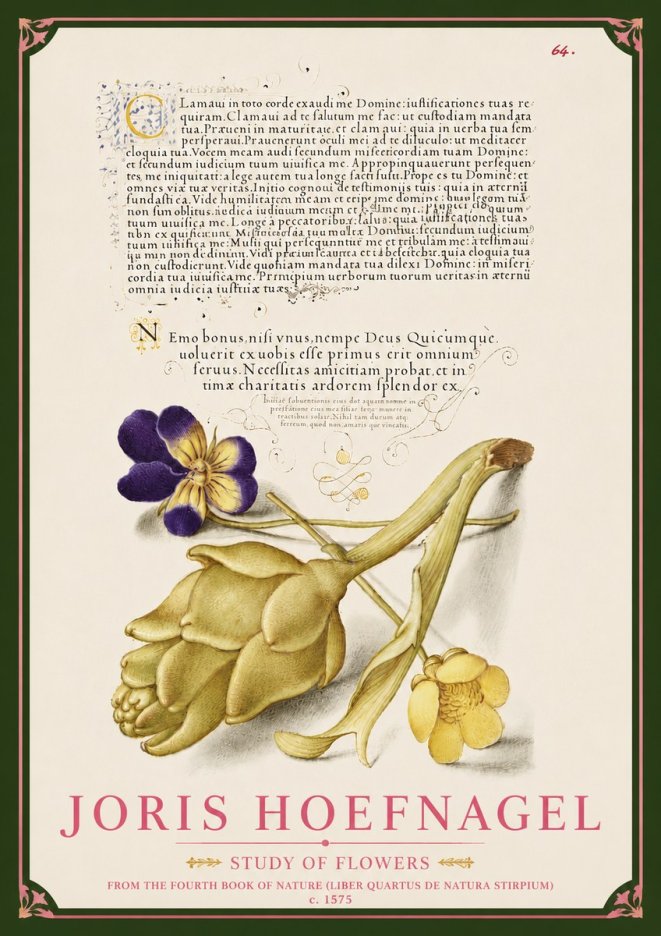Joris Hoefnagel Botanical Study with Calligraphy III No6 - Póster