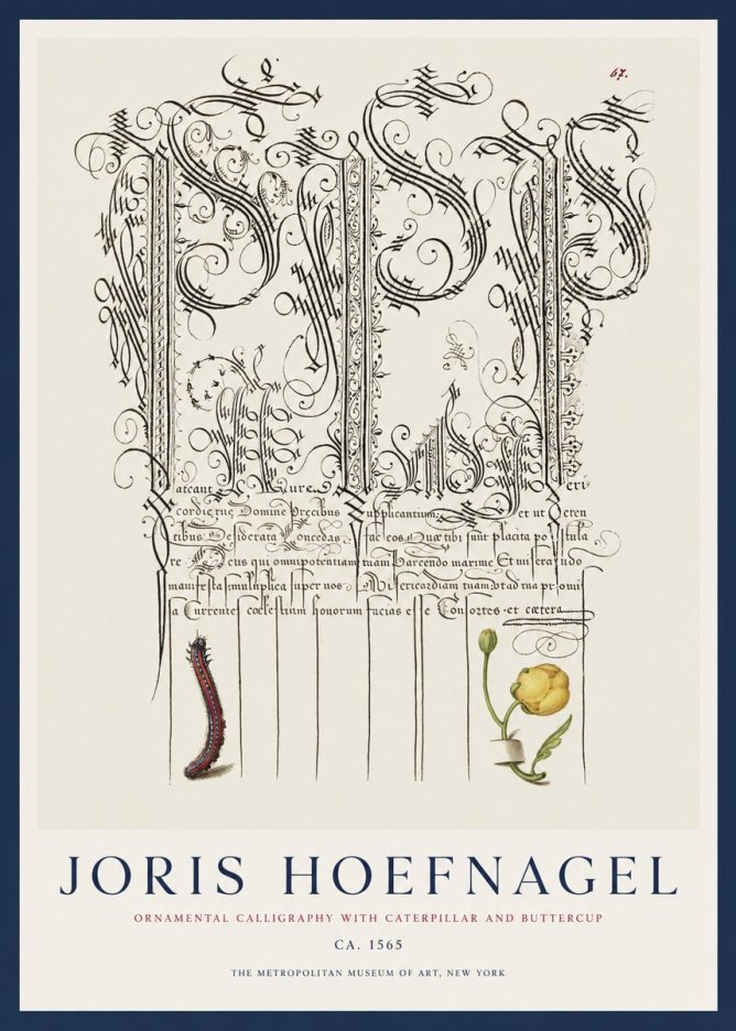 Joris Hoefnagel Ornamental Calligraphy with Caterpillar and Buttercup No1 - Póster