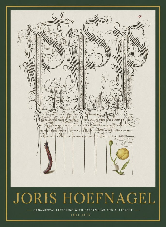 Joris Hoefnagel Ornamental Calligraphy with Caterpillar and Buttercup No2 - Póster