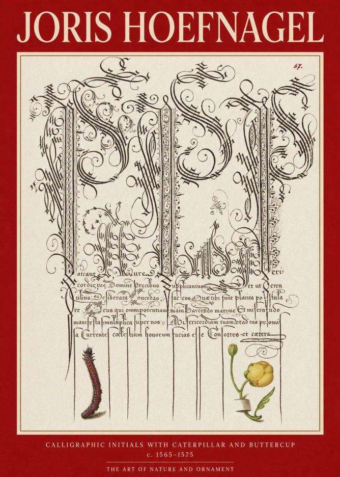 Joris Hoefnagel Ornamental Calligraphy with Caterpillar and Buttercup No6 - Póster