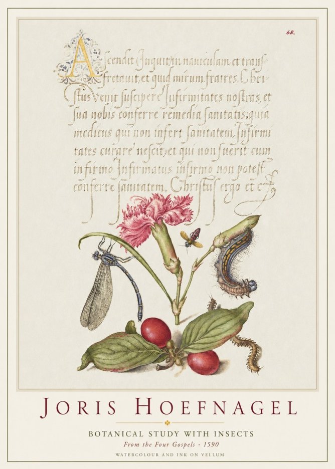 Joris Hoefnagel Botanical Study with Insects No1 - Póster