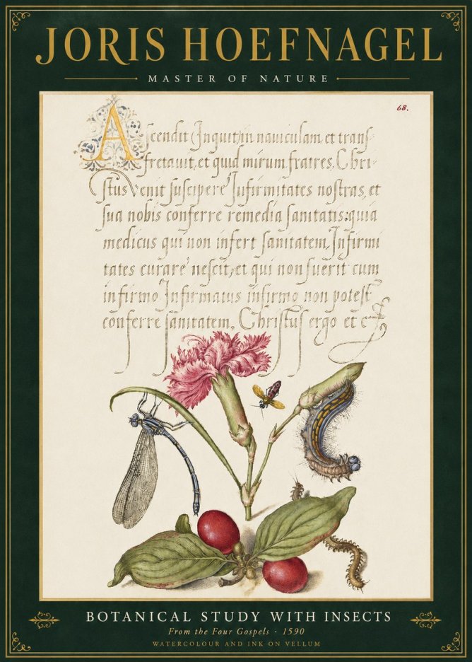 Joris Hoefnagel Botanical Study with Insects No3 - Póster