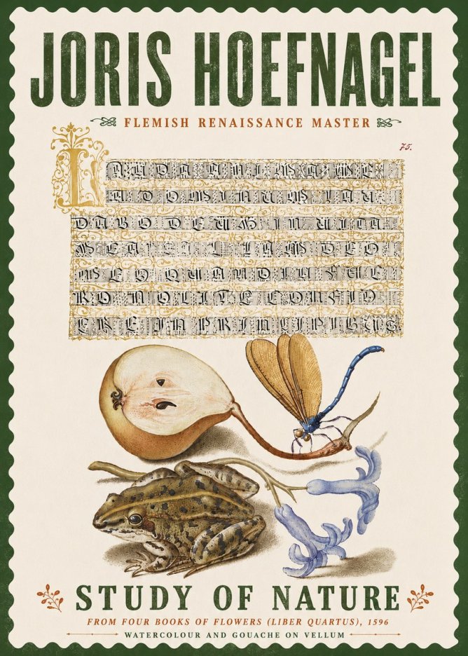 Joris Hoefnagel Study of Nature II No6 - Póster
