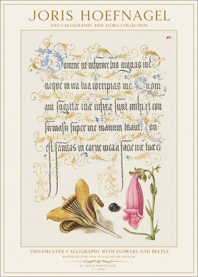 Joris Hoefnagel Ornamented Calligraphy with Flowers and Beetle No1 - Póster
