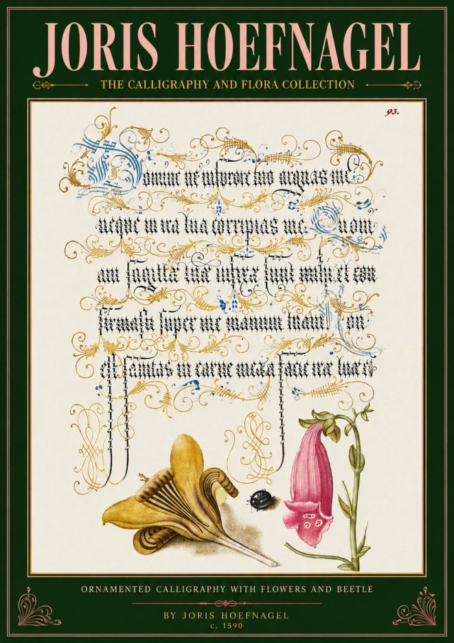 Joris Hoefnagel Ornamented Calligraphy with Flowers and Beetle No4 - Póster