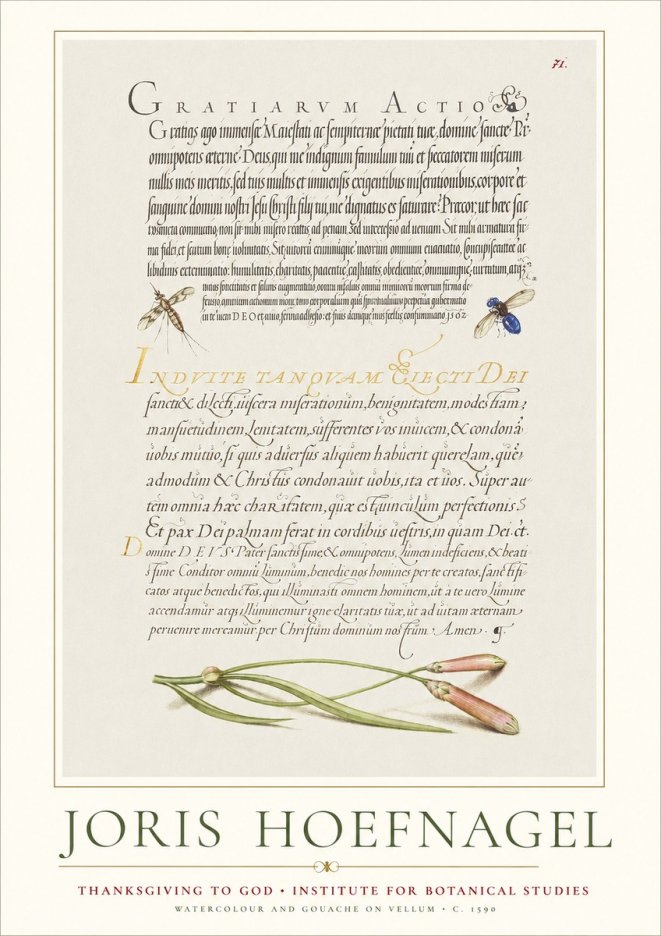 Joris Hoefnagel Thanksgiving to God • Institute for Botanical Studies No1 - Póster
