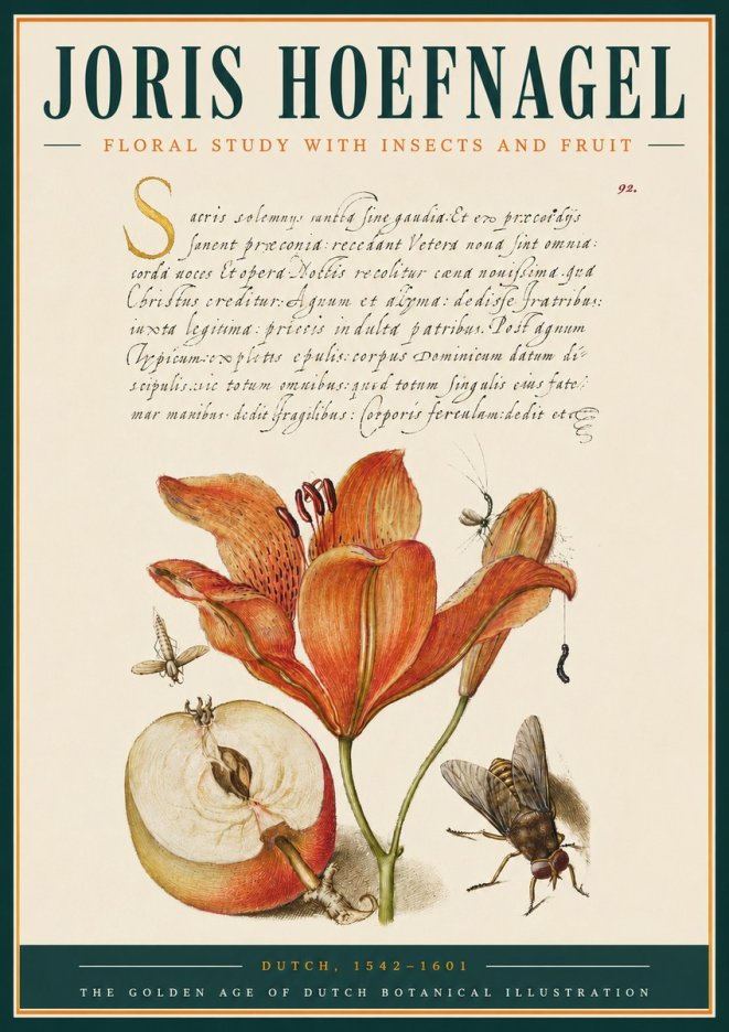 Joris Hoefnagel Floral Study with Insects and Fruit No3 - Póster