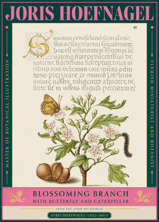 Joris Hoefnagel Blossoming Branch No3 - Póster