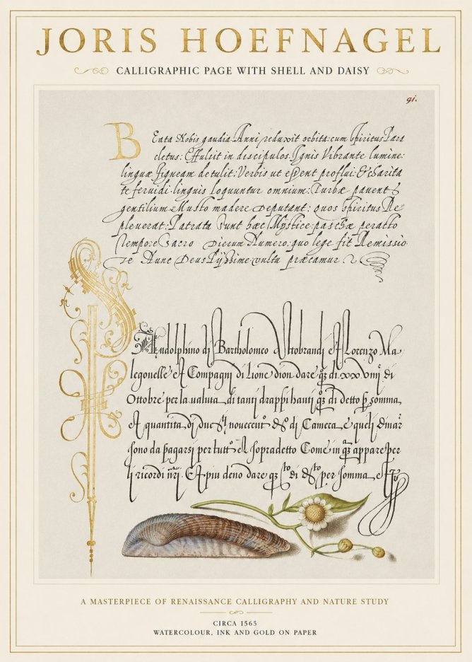 Joris Hoefnagel Calligraphic Page with Shell and Daisy No1 - Póster