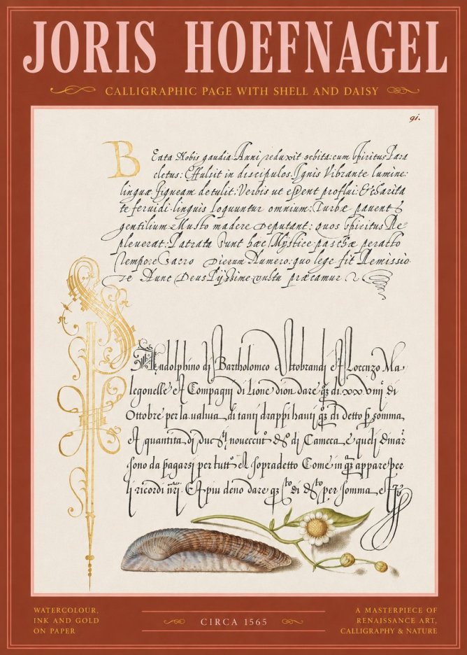 Joris Hoefnagel Calligraphic Page with Shell and Daisy No2 - Póster