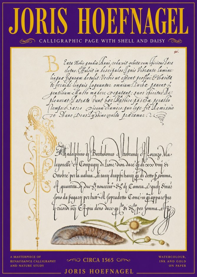 Joris Hoefnagel Calligraphic Page with Shell and Daisy No3 - Póster