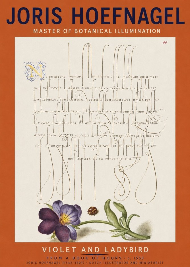 Joris Hoefnagel Violet and Ladybird No2 - Póster