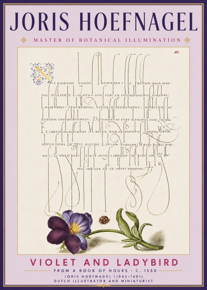 Joris Hoefnagel Violet and Ladybird No3 - Póster