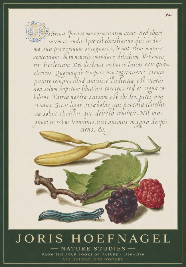 Joris Hoefnagel Nature Studies No1 - Póster