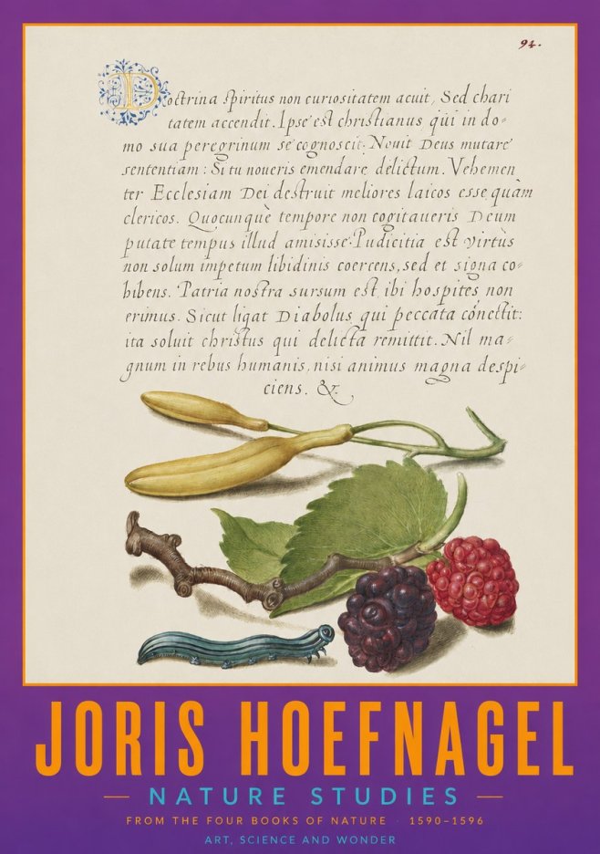 Joris Hoefnagel Nature Studies No2 - Póster