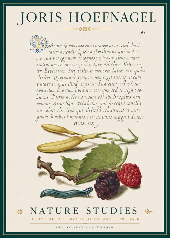 Joris Hoefnagel Nature Studies No3 - Póster