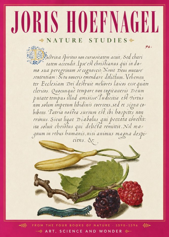 Joris Hoefnagel Nature Studies No6 - Póster