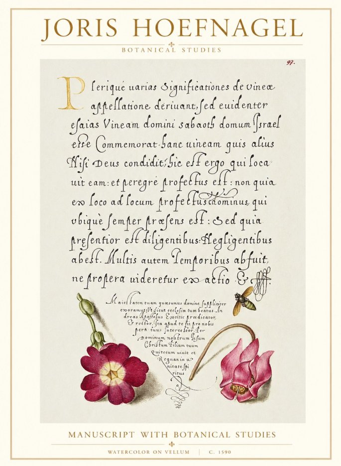 Joris Hoefnagel Manuscript with Botanical Studies No1 - Póster