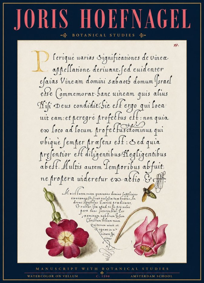 Joris Hoefnagel Manuscript with Botanical Studies No3 - Póster