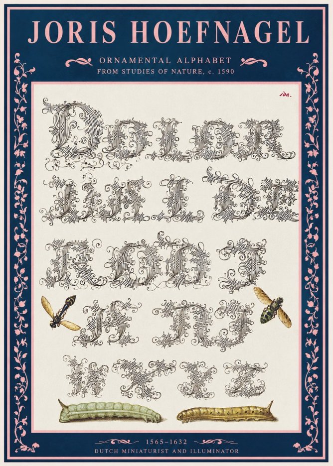 Joris Hoefnagel Ornamental Alphabet from Studies of Nature No2 - Póster