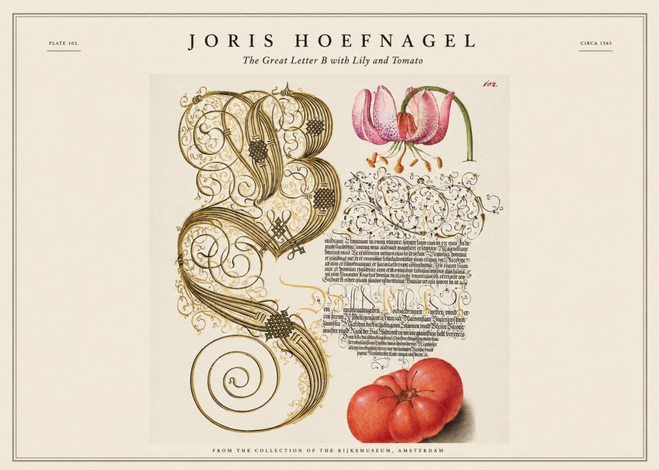 Joris Hoefnagel The Great Letter B with Lily and Tomato No1 - Póster