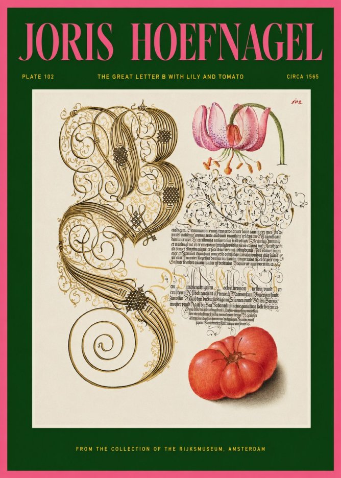 Joris Hoefnagel The Great Letter B with Lily and Tomato No2 - Póster